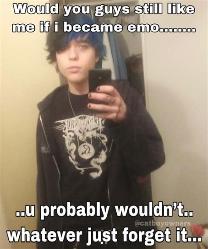 15 Top Funny Emo Meme Joke Images & Photo QuotesBae