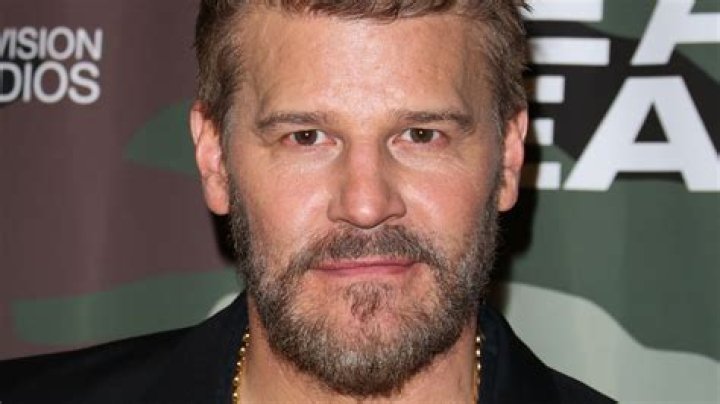 37 Facts about David Boreanaz