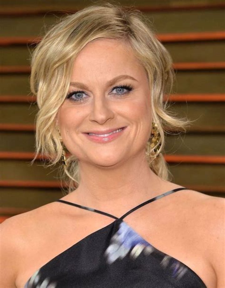 Amy Poehler Net Worth Vip Net Worth