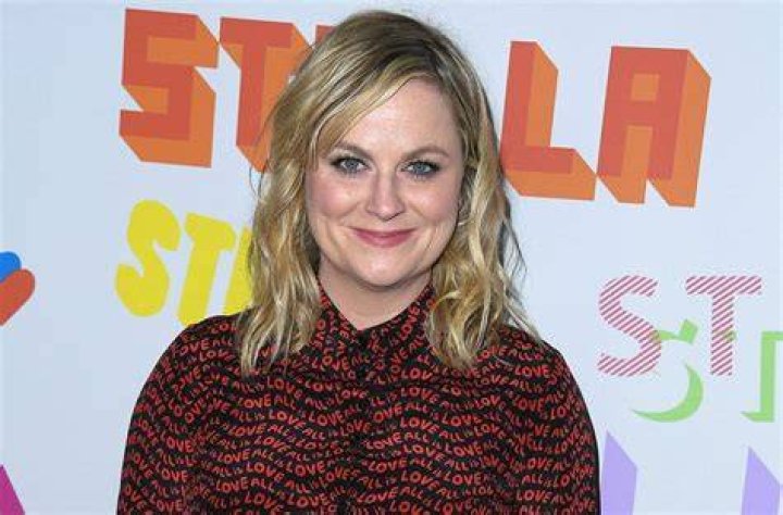 Amy Poehler to direct, produce and star in 'Wine Country' for Netflix