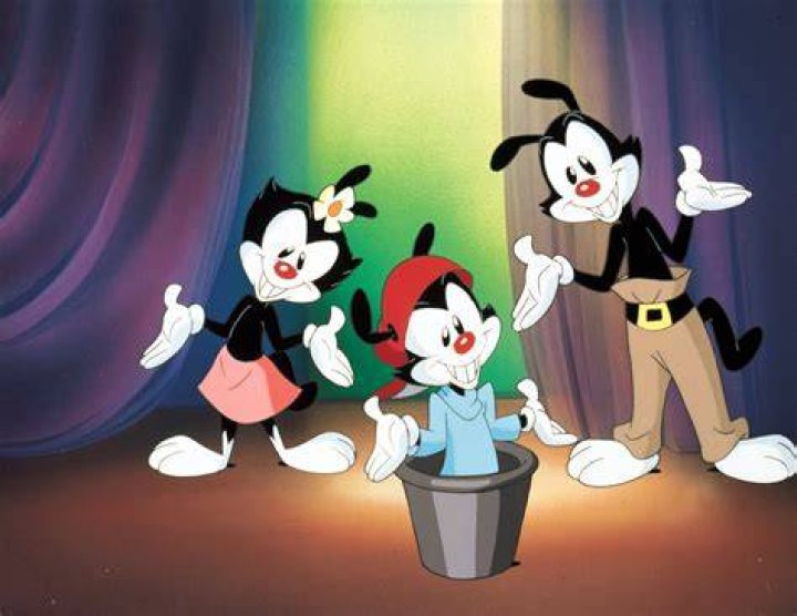 animaniacs, Family, Animation, Comedy, Cartoon Wallpapers HD / Desktop