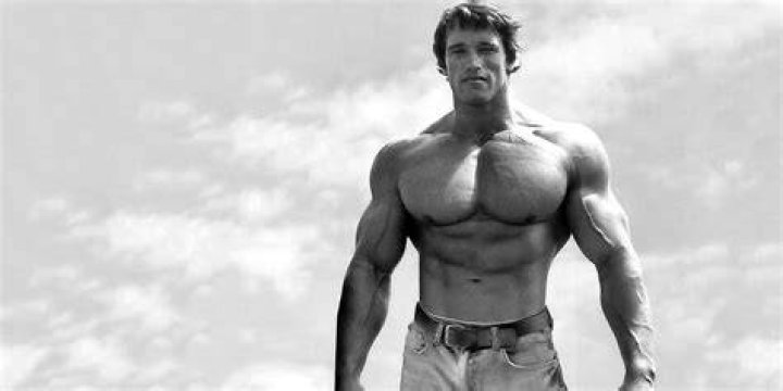 Arnold Schwarzenegger Net Worth Wealthy Genius