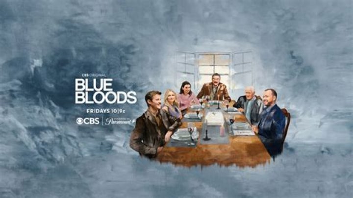 Blue Bloods' Will Estes Goes Instagram Official with Torrey DeVitto