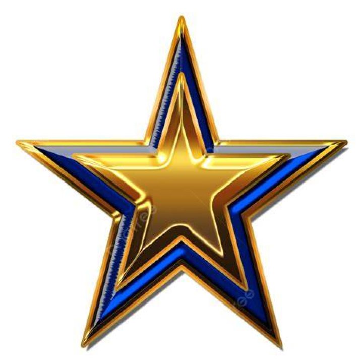 Blue Star Turned to Gold The Loss of Ens. Jesse L. Brown