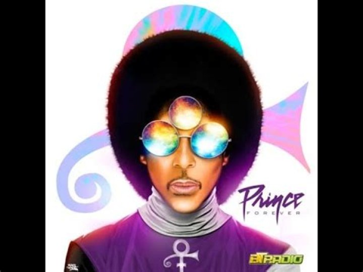 Brother Panic Prince and the Evolution (Purple Reign) YouTube