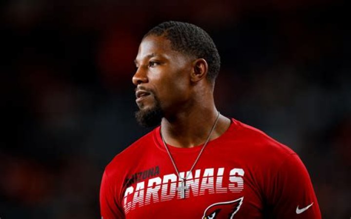 Cardinals David Johnson works to get back on field
