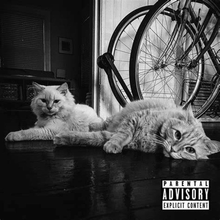 Cats (Explicit) Infinite Nemo Feat. Blanco Shazam