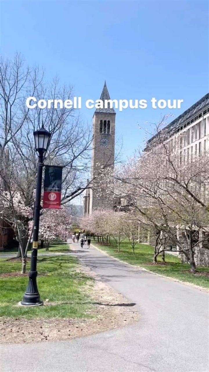 Cornell Flo Milli to Campus The Cornell Daily Sun