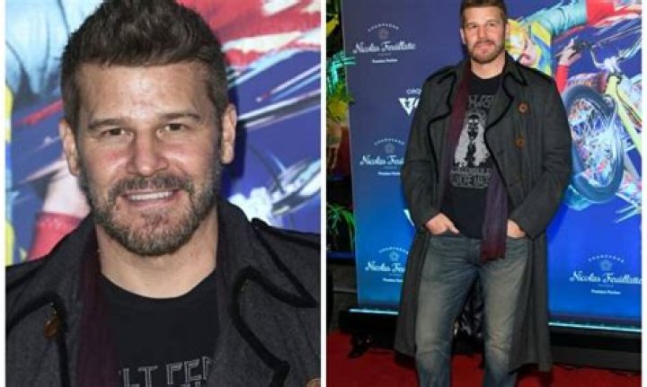 David Boreanaz Net Worth (2020 Update)