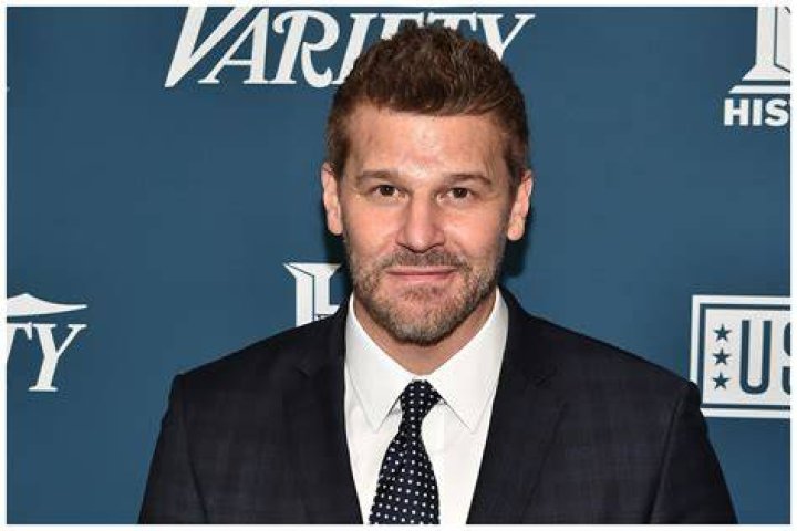 David Boreanaz Net Worth Check Details Here