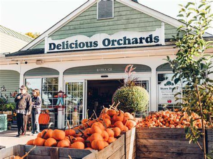 Delicious Orchards 173 Photos & 166 Reviews Fruits & Veggies Rt