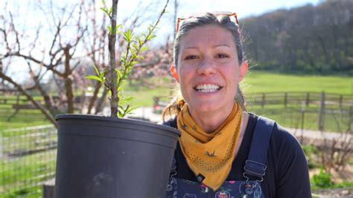 Discover The Secrets Of Cori Rist: Unlocking Flavorful Delights
