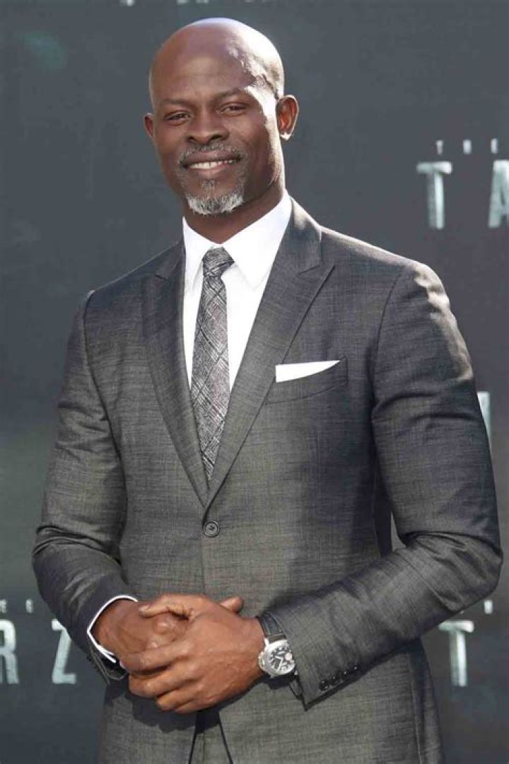 Djimon Hounsou Net Worth Celebily
