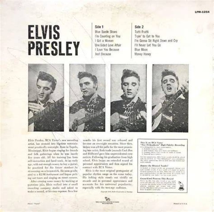 Elvis Presley (19351977) Gone, But Not Photo (44605759