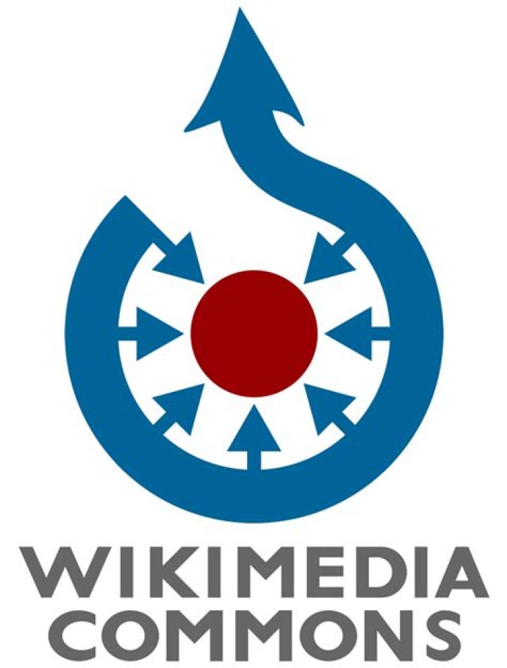 FileInstagram logo 2016.svg Wikimedia Commons