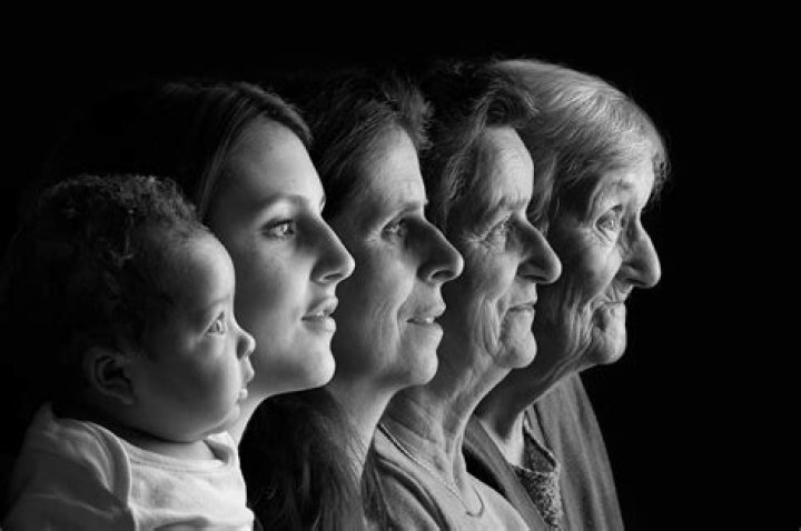 Five generations by Laurent Jobert DIY Pinterest Familie foto