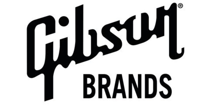 Gibson Wins Another Definitive Ruling On Its Iconic Shapes and Trademarks