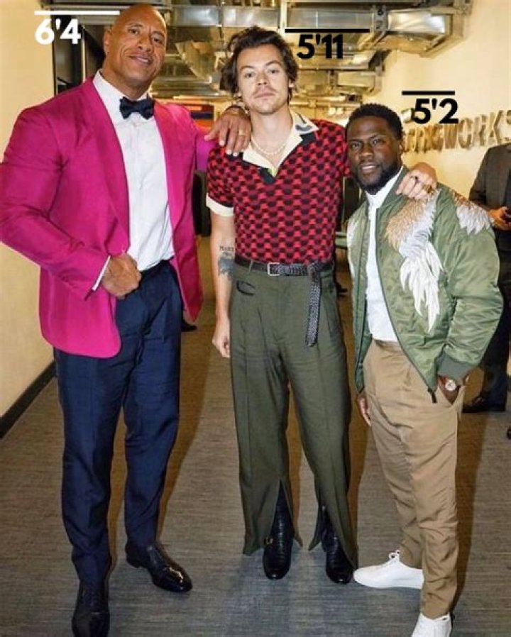 Harry Styles Height (Proof & Measurements) Heartafact
