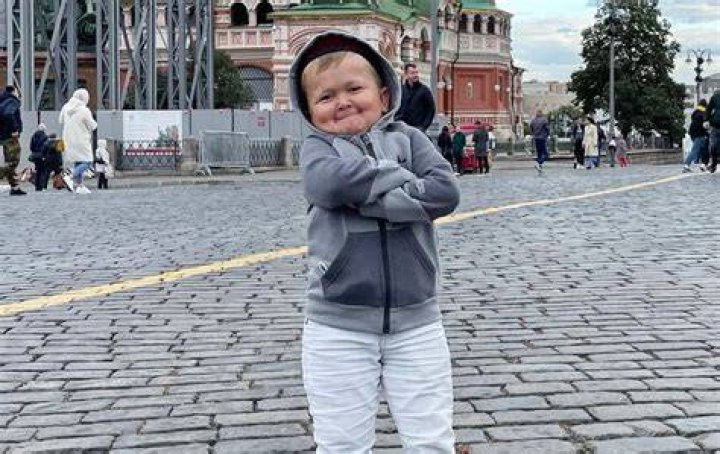 Hasbulla Magomedov Age, Height and Disease Gadgetswright