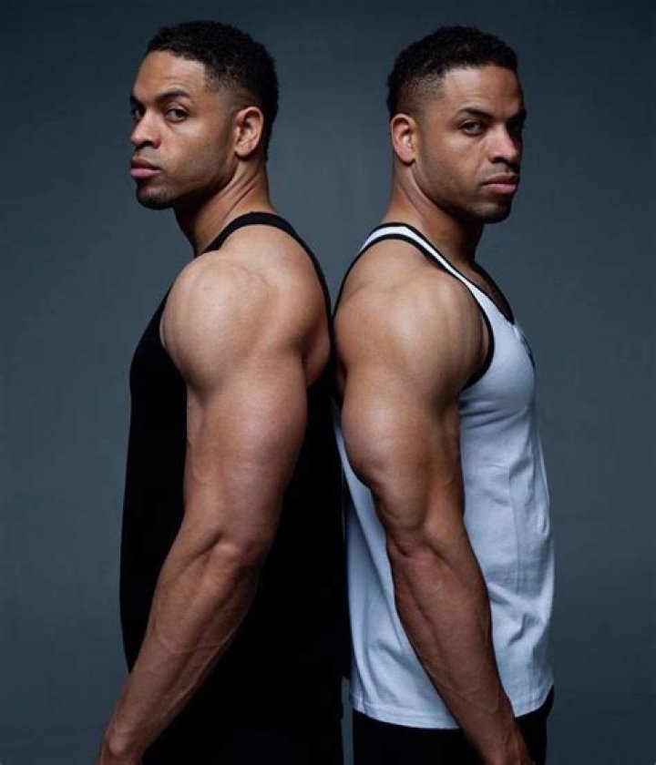 Hodge Twins Wiki Everipedia