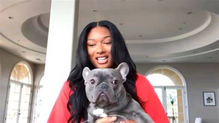How Many Dogs Does Megan Thee Stallion Have