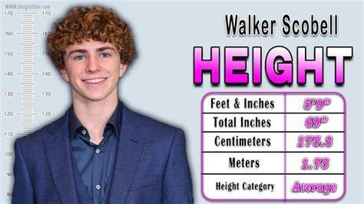 How Tall Is Walker Scobell? Percy Jackson's TV Show Height Vs. Book