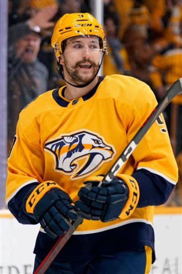 Is Filip Forsberg Related To Peter Forsberg? Are They Brothers?