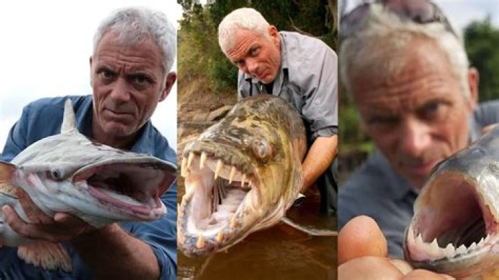 JEREMY WADE Jeremy wade, John wade, Jeremy