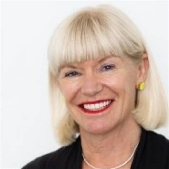 Judy Dimon Biography