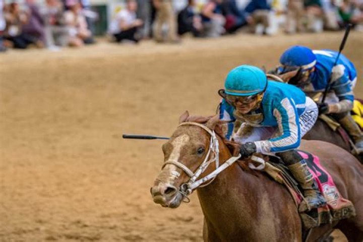 Kentucky Derby In the Owner's Box with Dennis Albaugh