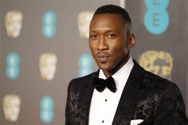 Mahershala Ali from Celebs Who Became Dads in 2017 E! News