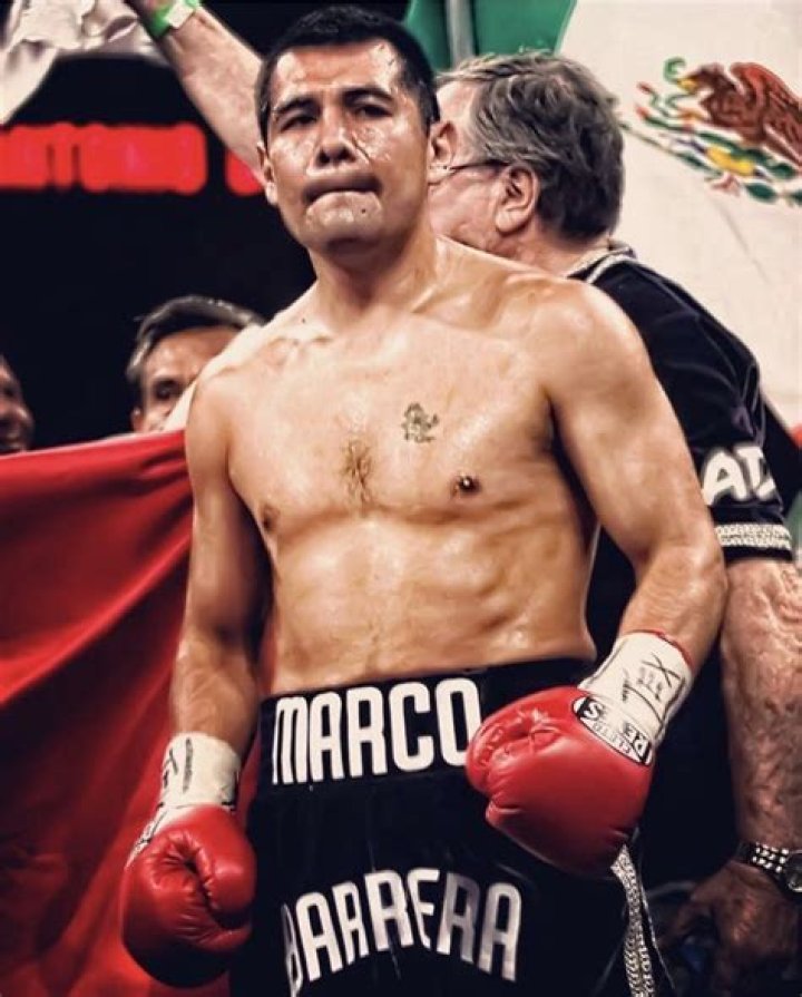 Marco Antonio Barrera Boxeo mexicano, Boxeo, Boxeadora