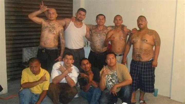 Mexican Mafia Latino Gang Violence