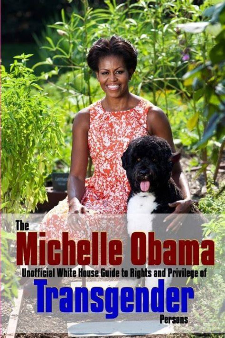 Michelle Obama Played By Transgender Model Connie Fleming On Candy