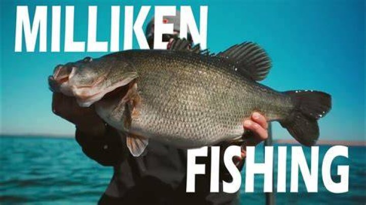 Milliken Fishing YouTube