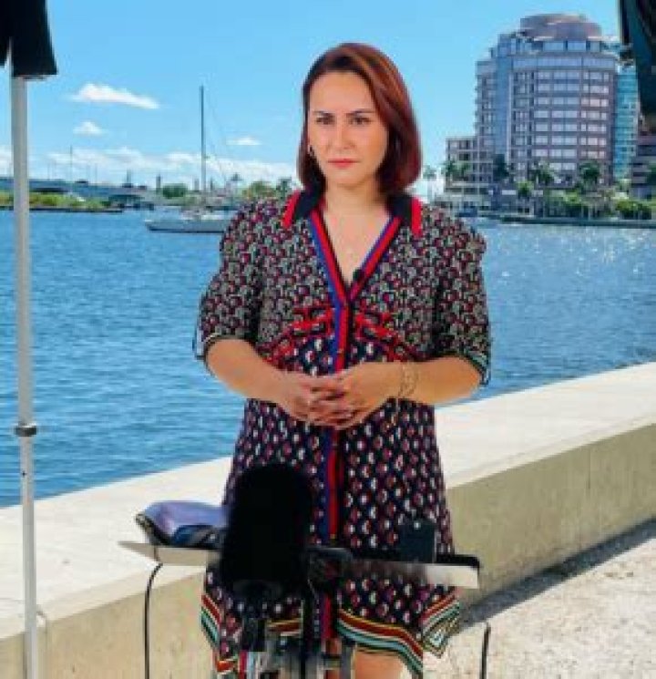 MSNBC Is Ali Vitali pregnant by her partner Jeremy Diamond? Condotel