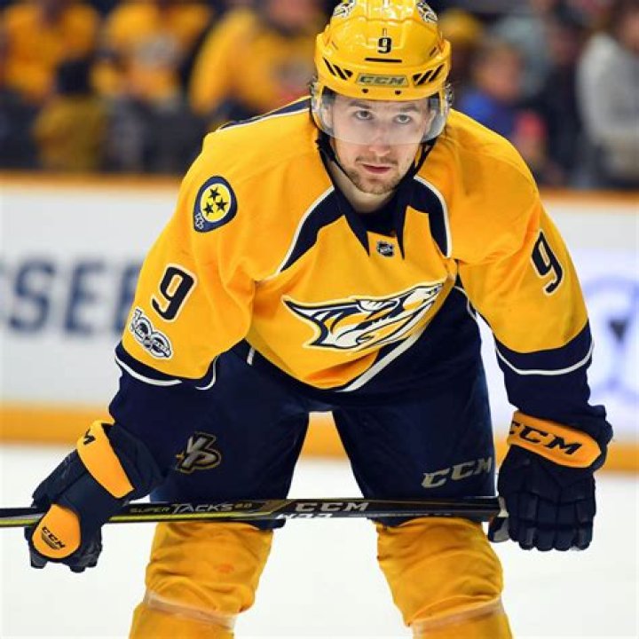 No, Filip Forsberg Is Not Related To Peter Forsberg Find Their Family