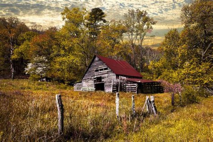 Old Barn in Autumn Photograph by Debra and Dave Vanderlaan Fine Art