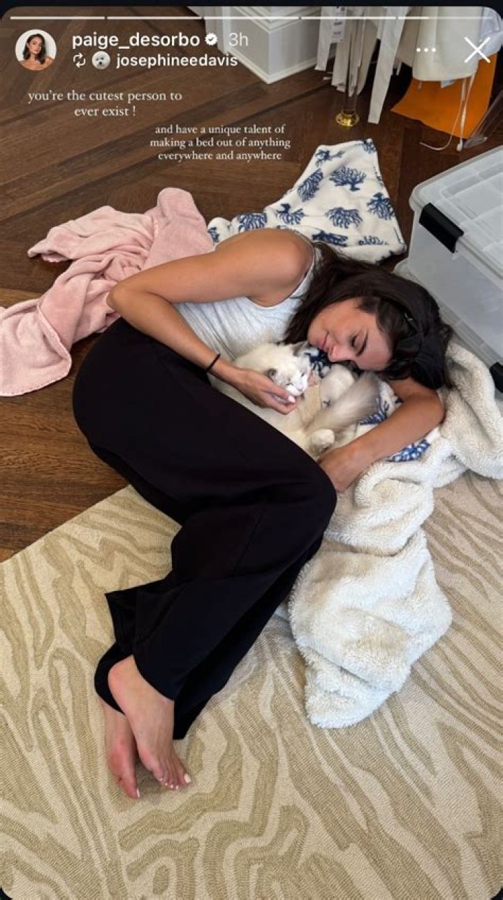 Paige Desorbo Feet (69 photos) feet.wiki