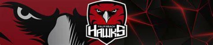 Palm Beach Hawks Coach Chippy YouTube