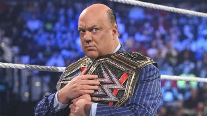 Paul Heyman, Wwe, Wrestling, Performance, Person, Lucha Libre