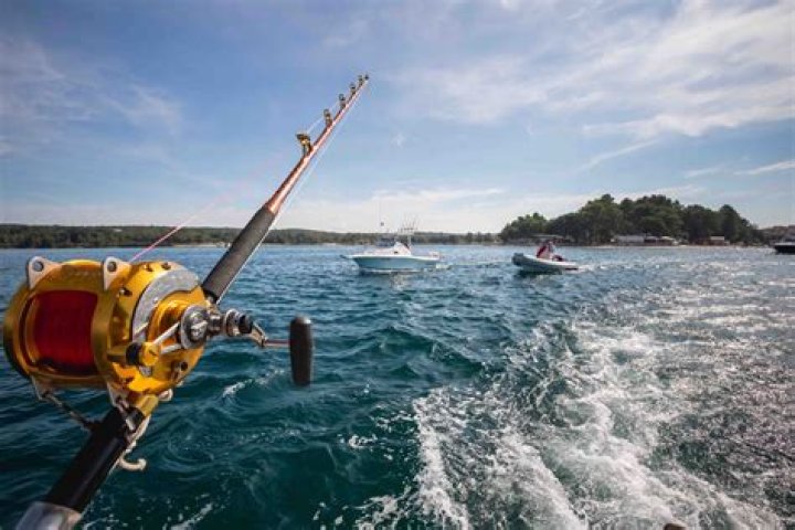 Pin on Fishing Salt Water Fresh Water