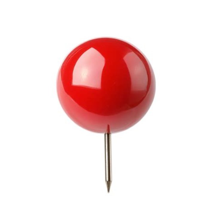 Pin on PYC1