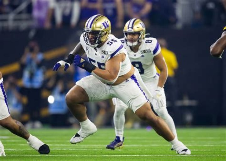 Pittsburgh Steelers draft Michigan football's Zach Gentry in Round 5
