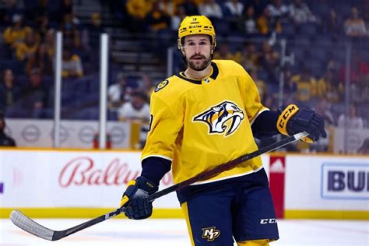 Should the Rangers pursue Filip Forsberg? Blue Seat Blogs