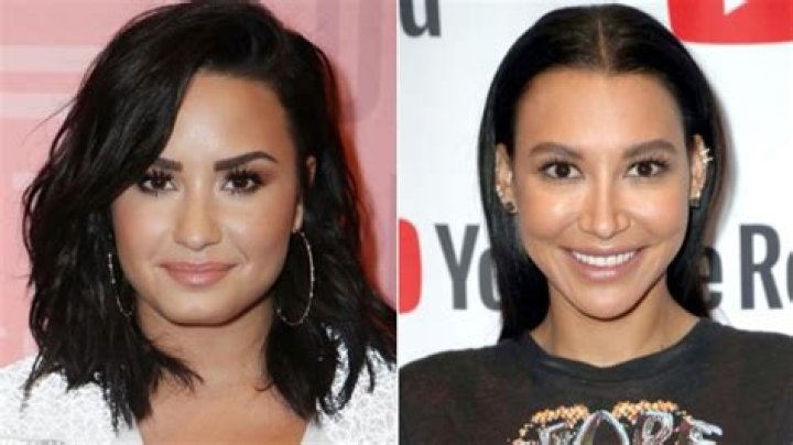 The Truth About Naya Rivera And David Spade's Relationship