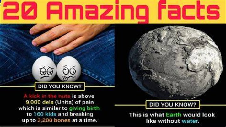 Top 10 Interesting Facts About The Archduke Franz Ferdinand Discover