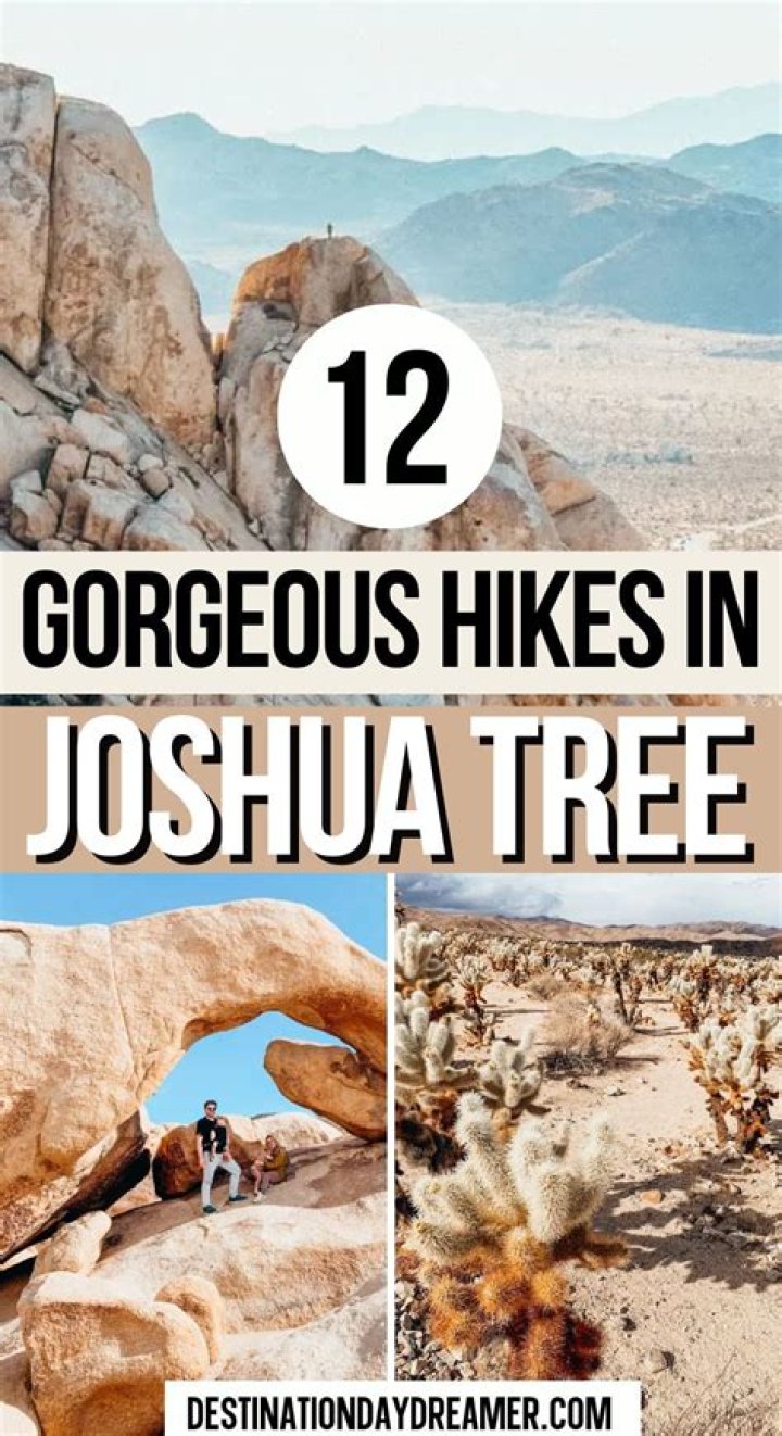 Top 12 Pics Of Joshua Weissman With His Girlfriend Celebritopedia