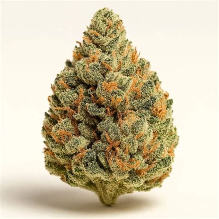 Top 5 Vibe Cannabis Strains Terrabis Find Your Calm