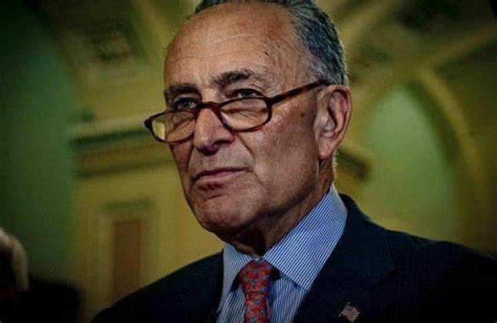 Tricky Dick Schumer WSJ